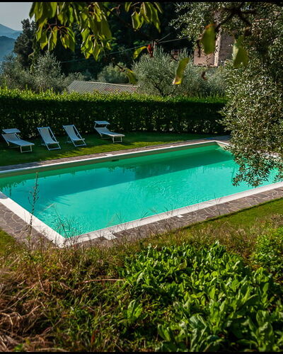 Orto Degli Olivi Proprietà: Piscine, Propriété, Paysage Naturel, Herbe, L'Eau, Loisir, Maison, Arbre, Villa, Architecture