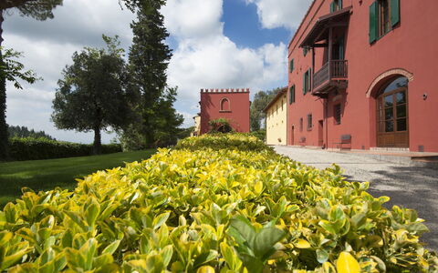 Tenuta Cambiano: Fleur, Jaune, Paysage Naturel, Propriété, Plante, Jardin, Botanique, Plantation, Printemps, Immobilier