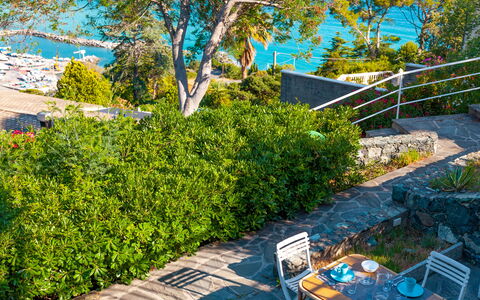 Il Giardino Sul Mare - Levanto: Arbre, Propriété, Jardin, Immobilier, Arbuste, Plante, Botanique, Suppression Des Plantes Ligneuses, Paysage, Cour