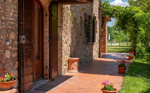 Podere a Lafi: Plante, Pot De Fleur, Bâtiment, Plante D'Appartement, Fleur, Arbre, Porte, Brique, Brickwork, Quartier