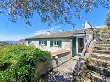 Il Frantoio Del Mesco - Levanto