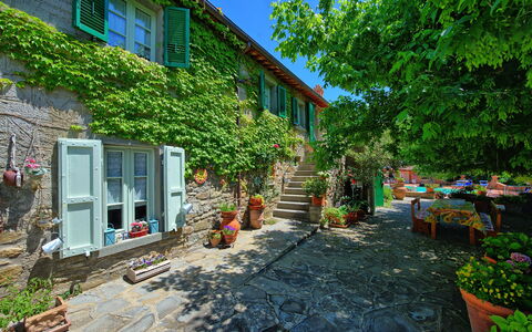 Casale San Martino: Propriété, Maison, Cour, Bâtiment, Ville, Domicile, Jardin, Arrière-Cour, Immobilier, Quartier