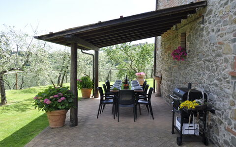 Villa Claudia: Plante, Fleur, Pot De Fleur, Chaise, Ombre, Table, Arbre, Ciel, Bâtiment, Loisir