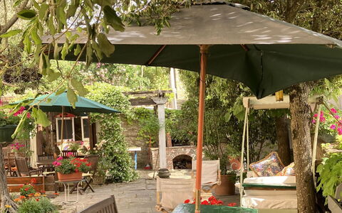 Villa Toppani Del Sodo: Plante, Communauté Des Plantes, Ombre, Botanique, Mobilier De Jardin, Table, Fleur, Arbre, Tableau De Plein Air, Loisir