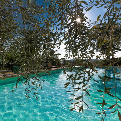 Villa Poggiospinoso: Piscine, Loisir, Recours, L'Eau, Centre De Loisirs, Vacances, Arbre, Hôtel, Des Loisirs, Plante