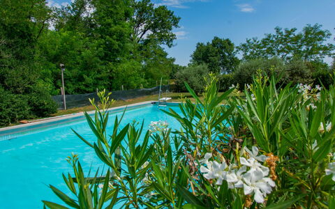 Elena: Bleu, Arbuste, Jardin, Piscine, Ombre, Aménagement Paysager, Jardin Botanique, Arrière-Cour, Eco Hôtel