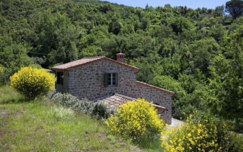 Villa Sole: Plante, Ciel, Fleur, Paysage Naturel, Lot Terre, Arbre, Maison, Herbe, Chalet, Paysage