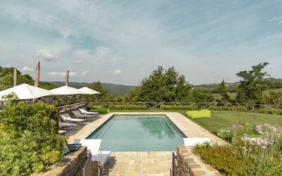 Villa Pianvecchio: Plante, Piscine, Jardin, Composite, Arbuste, Recours, Aménagement Paysager, Cour, Tuile