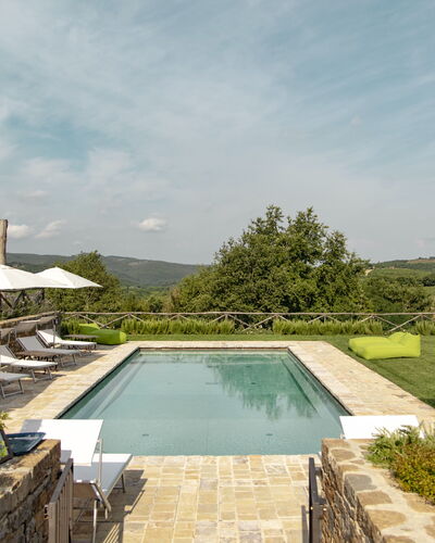 Villa Pianvecchio: Plante, Piscine, Jardin, Composite, Arbuste, Recours, Aménagement Paysager, Cour, Tuile