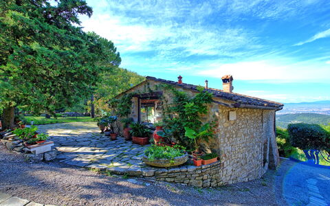 Villa Ancora: Plante, Maison, Peindre, Zone Rurale, Art, Jardin, Chalet, Pot De Fleur, Peinture Aquarelle, Village