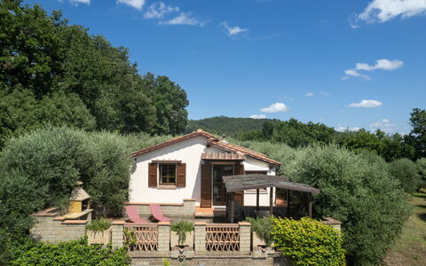 Villa Laura: Plante, Ciel, Nuage, Propriété, Fenêtre, Communauté Des Plantes, Bâtiment, Maison, Arbre, Paysage Naturel