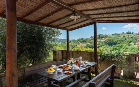 Villa Laura: Table, Plante, Meubles, Ombre, Bois, Porche, Design Intérieur, Nuage, Arbre, Loisir