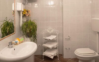 Giaggiolo: Miroir, Plante, Luminaire Plomberie, Propriété, Évier, Robinet, Blanc, Salle De Bains, Lavabo, Violet