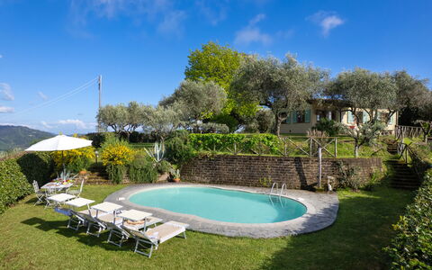 Villa Elisa: Piscine, Mobilier De Jardin, Recours, Biens, Jardin, Hacienda, Eco Hôtel, Chalet, Arrière-Cour, Cour