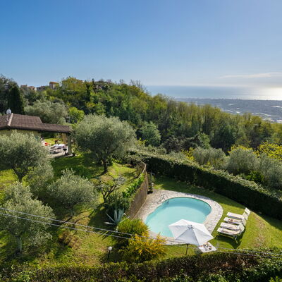 Villa Elisa: Paysage Naturel, Paysage, Piscine, Jardin, Biens, Aménagement Paysager, Eco Hôtel, Plantation, Villa, Ferme