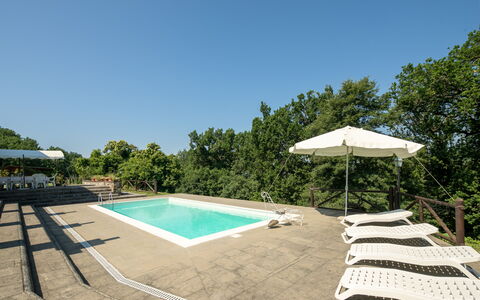 Grezzano Villa: Ciel, Arbre, Piscine, Ombre, Mobilier De Jardin, Lot Terre, Arecales, Herbe, Loisir, Paysage