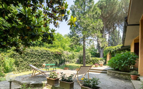 Villa Del Mugello: Plante, Propriété, Bâtiment, Pot De Fleur, Ombre, Arbre, Végétation, Ciel, Herbe, Plante D'Appartement