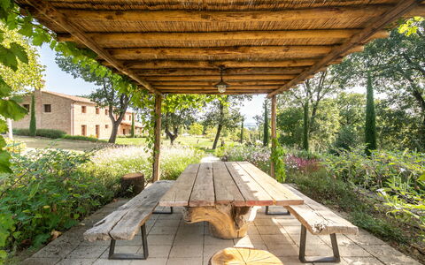 Fonte Della Chiana: Plante, La Nature, Ombre, Bois, Fenêtre, Botanique, Arbre, Herbe, Végétation, Biome