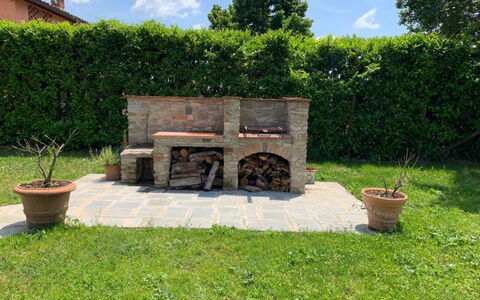 Il Pozzo Di San Barnaba: Plante, Ciel, Propriété, Nuage, Pot De Fleur, Vert, Lot Terre, Herbe, Arbre, Chaise