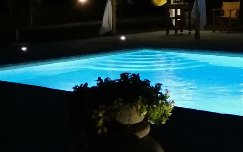 Il Pozzo Di San Barnaba: L'Eau, Plante, Pot De Fleur, Lumière, Plante D'Appartement, Ciel, Design Intérieur, Rectangle, Piscine, Herbe