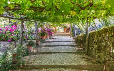 Ville Rosadi Weddings