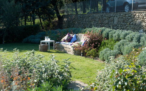 Villa Adelfa: Plante, Communauté Des Plantes, Fleur, Arbre, Végétation, Lot Terre, Paysage Naturel, Herbe, Haie, Mobilier De Jardin