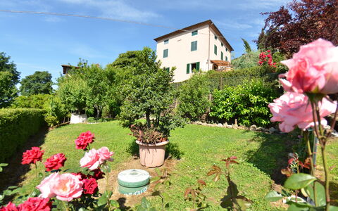 Alla Collina Del Sole: Fleur, Plante, Nuage, Ciel, Fenêtre, Vert, Botanique, La Nature, Bâtiment, Paysage Naturel