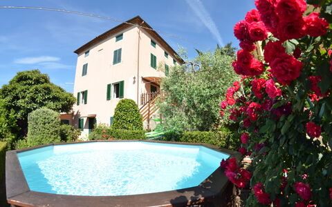 Alla Collina Del Sole: Fleur, L'Eau, Ciel, Plante, Propriété, Jour, Nuage, Vert, Bâtiment, Bleu