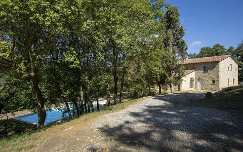 Villa Lucarella: Arbre, Herbe, Branche, Paysage, Maison, Domicile, Arbuste, Zone Rurale, Lot Terre