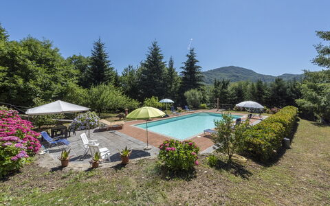 Villa Rosata: Plante, L'Eau, Fleur, Parapluie, Communauté Des Plantes, Piscine, Ciel, Arbre, Mobilier De Jardin, Paysage Naturel
