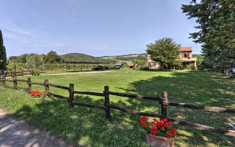 Villa Le Selvole: Ciel, Plante, Nuage, Arbre, Paysage Naturel, Clôture, Lot Terre, Herbe, Arbuste