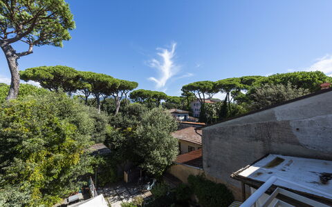 Residenza Morin: Nuage, Ciel, Plante, Bâtiment, Arbre, Design Urbain, Arecales, Paysage, Cumulus, Herbe