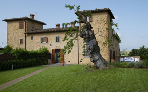 Villa Pianora: Ciel, Plante, Propriété, Bâtiment, Fenêtre, Arbre, Lot Terre, Herbe, Maison, Façade