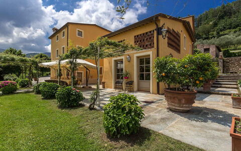 Villa Castellaccio: Plante, Ciel, Nuage, Propriété, Bâtiment, Fenêtre, Lot Terre, Maison, Végétation, Arbre