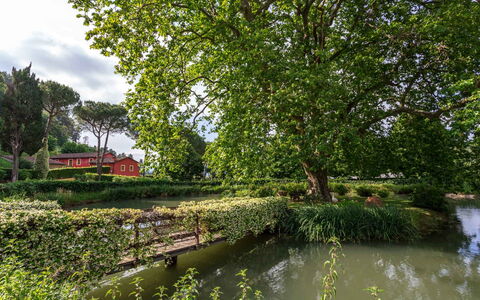 Villa Guasperini: L'Eau, Plante, Vert, Paysage Naturel, Arbre, Nuage, Cours D'Eau, Plan D'Eau, Lac, Banque