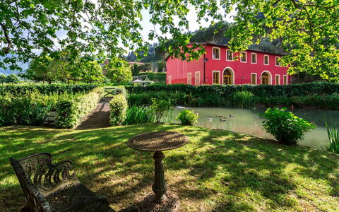 Villa Guasperini: Plante, Bâtiment, Fenêtre, La Nature, Feuille, Arbre, Paysage Naturel, Végétation, Maison, Lot Terre