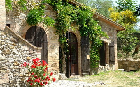 Tenuta Le Sodole: Plante, Fleur, Bâtiment, Fenêtre, Porte, Arbre, Herbe, Arbuste, Zone Rurale, Paysage