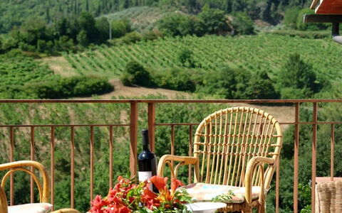 Tenuta Le Sodole: Plante, Meubles, Ciel, Propriété, Nuage, Chaise, Fleur, Vert, Feuille, La Nature