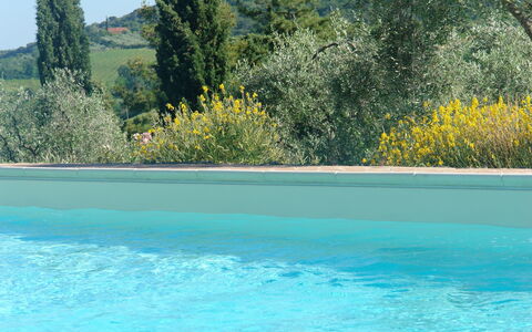 Logement:&nbsp;Papavero Holiday Home