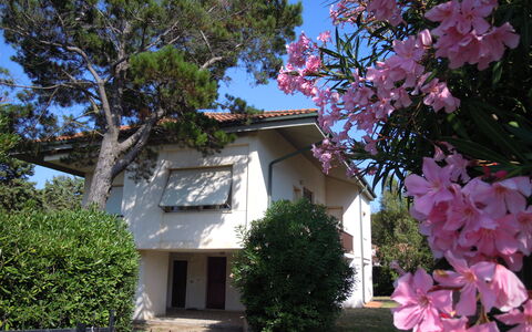 Casa Argentario: Fleur, Plante, Ciel, Jour, Fenêtre, Bâtiment, La Nature, Botanique, Arbre, Branche