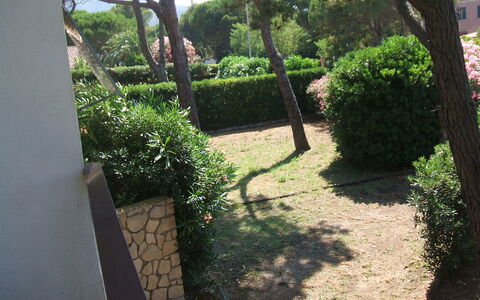 Casa Argentario: Plante, Propriété, Feuille, Botanique, La Nature, Arbre, Végétation, Ombre, Lot Terre, Surface De La Route