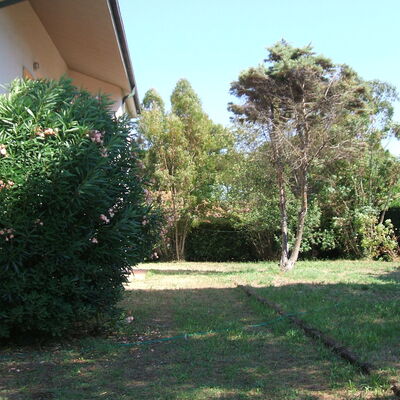 Casa Argentario: Plante, Propriété, Ciel, Arbre, Lot Terre, Surface De La Route, Ombre, Herbe, Couverture De Sol, Paysage Naturel