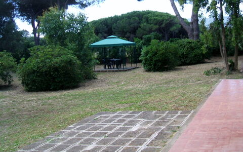 Giannella Holiday Apartment: Plante, Propriété, Feuille, Arbre, Botanique, Ombre, Surface De La Route, Végétation, Lot Terre, Herbe