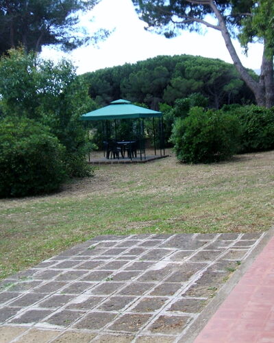 Giannella Holiday Apartment: Plante, Propriété, Feuille, Arbre, Botanique, Ombre, Surface De La Route, Végétation, Lot Terre, Herbe