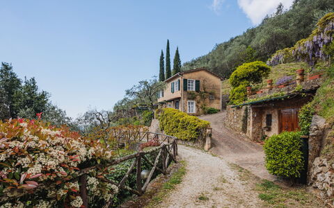 Il Glicine: L'Eau, Table, Vaisselle, Propriété, Ciel, Meubles, Bâtiment, Fenêtre, Bleu, Chaise