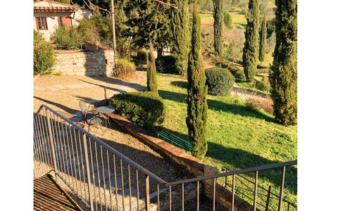 Borgo Delle Fonti: Arbuste, Jardin, Haie, Aménagement Paysager, À Feuilles Persistantes, Arrière-Cour, Villa, Famille Pine