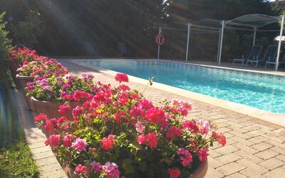 Il Casale Di Quirina: Fleur, L'Eau, Plante, Pétale, Pot De Fleur, Botanique, Arbre, Paysage, Piscine, Couverture De Sol