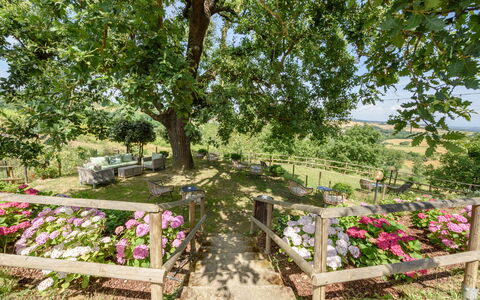 Villa Varna: Fleur, Plante, Communauté Des Plantes, Arbre, Pétale, Paysage Naturel, Pot De Fleur, Herbe, Couverture De Sol, Arbuste