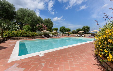 Villa Varna: L'Eau, Plante, Nuage, Ciel, Propriété, Piscine, Plan D'Eau, Arbre, Fleur, Ombre