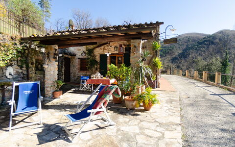 Le Piane: Plante, Ciel, Bâtiment, Propriété, Ombre, Arbre, Zone Rurale, Mobilier De Jardin, Fenêtre, Quartier